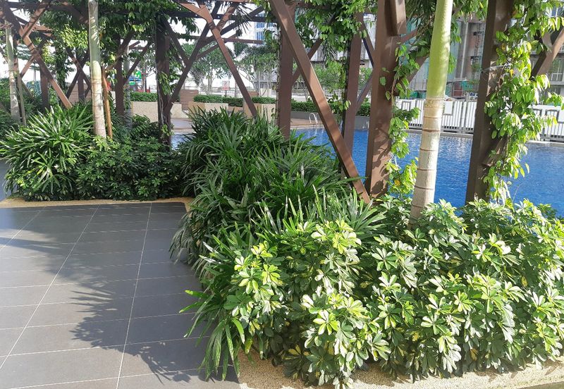 The Caspian @ Meridin Bayvue