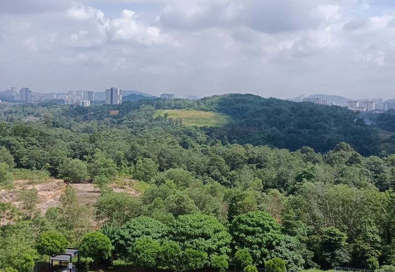 PALM HILL RESIDENCE 1