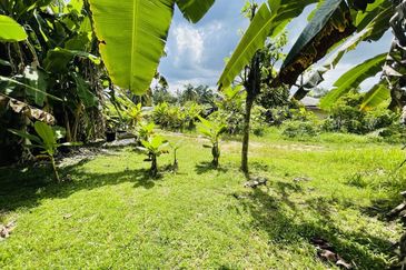Tanah Pertanian Lot Rumah Kampung Jaya Setia Ijok Kuala Selangor