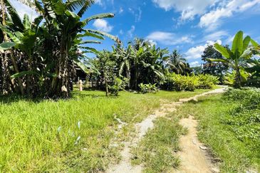 Tanah Pertanian Lot Rumah Kampung Jaya Setia Ijok Kuala Selangor