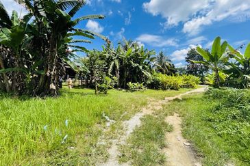 Tanah Pertanian Lot Rumah Kampung Jaya Setia Ijok Kuala Selangor