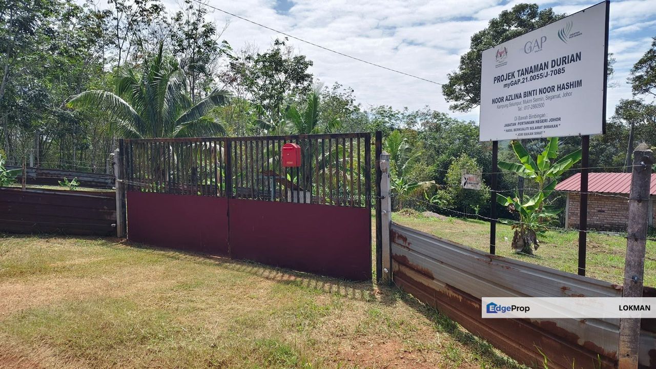 KEBUN DURIAN SEGAMAT, JOHOR, Johor, Segamat