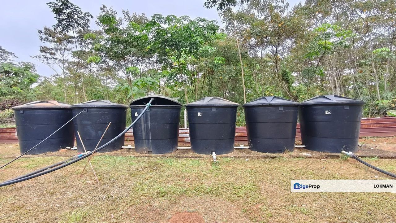 KEBUN DURIAN SEGAMAT, JOHOR, Johor, Segamat