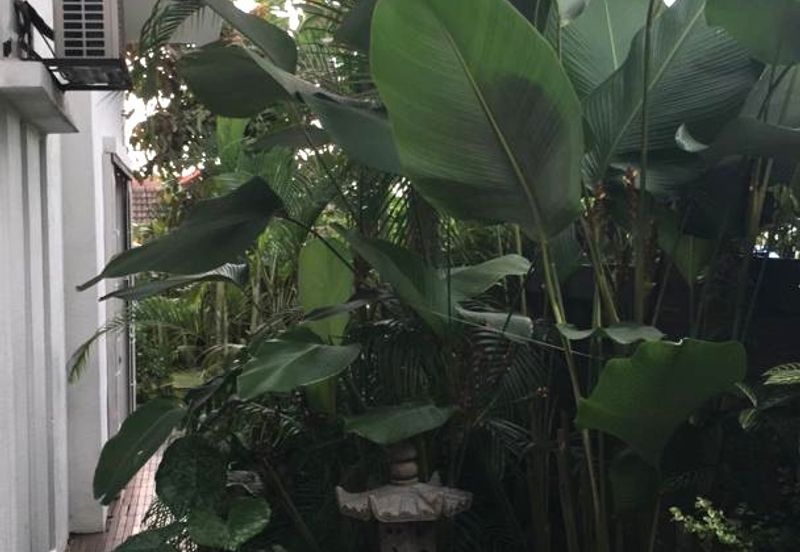 Bukit Gasing, Seksyen 5