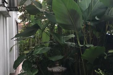 Bukit Gasing, Seksyen 5