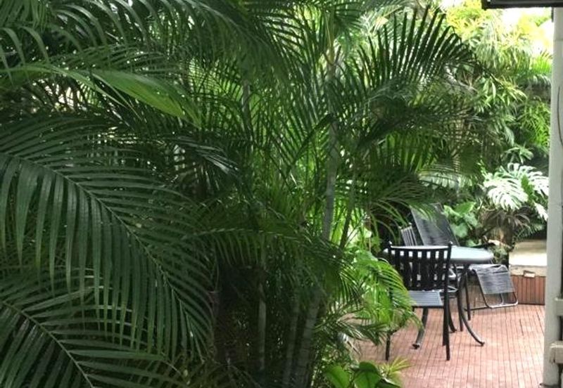 Bukit Gasing, Seksyen 5