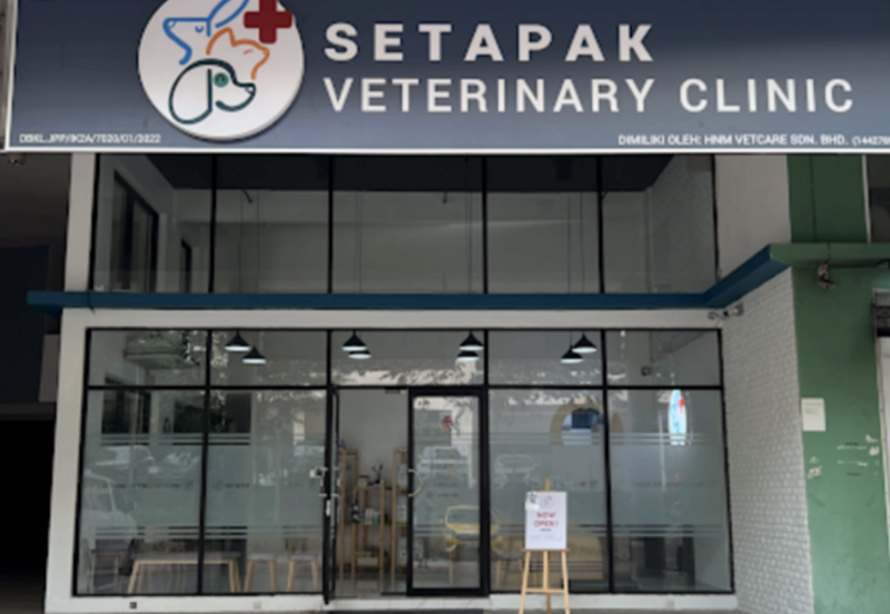 Platinum Mondrian (Pv128)