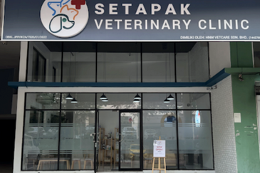 Platinum Mondrian (Pv128)