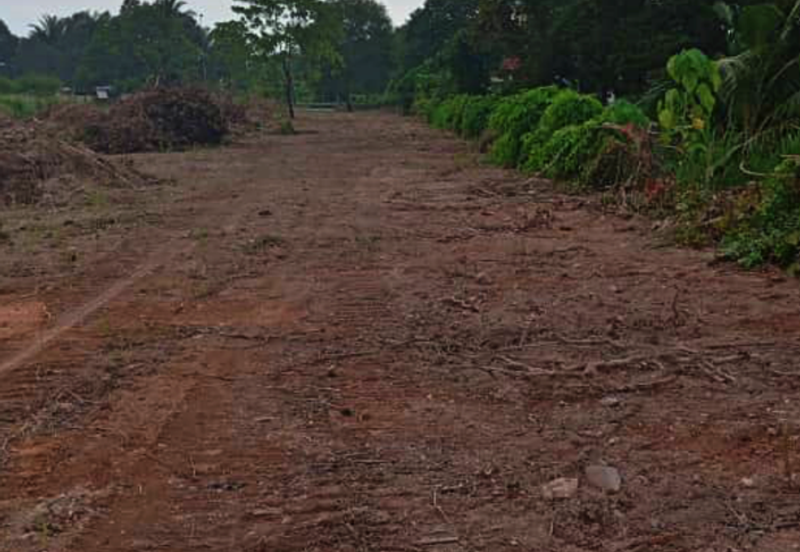 (4.22 Acres) Kampung Serdang Belah Banting Jenjarom Kuala Langat