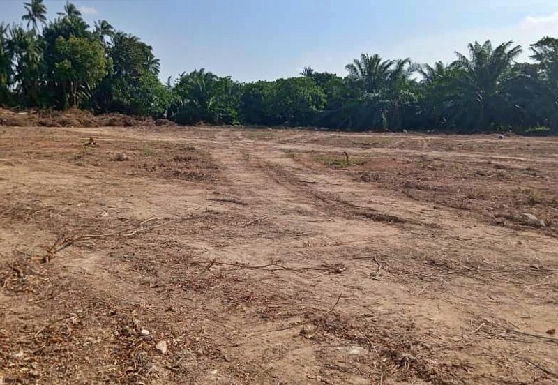 (4.22 Acres) Kampung Serdang Belah Banting Jenjarom Kuala Langat