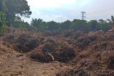 (4.22 Acres) Kampung Serdang Belah Banting Jenjarom Kuala Langat