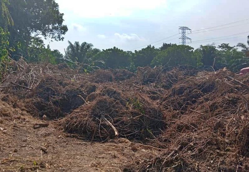 (4.22 Acres) Kampung Serdang Belah Banting Jenjarom Kuala Langat