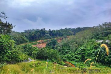 (16.2 Acres) Kuala Perting Bentong Pahang