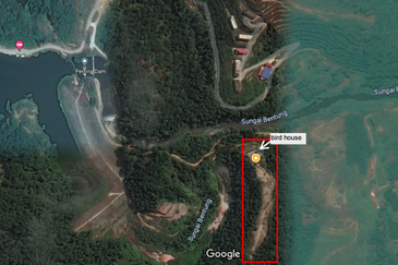 (16.2 Acres) Kuala Perting Bentong Pahang