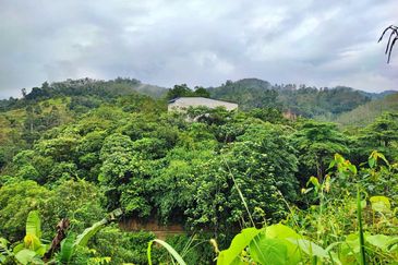 (16.2 Acres) Kuala Perting Bentong Pahang