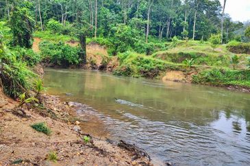 (16.2 Acres) Kuala Perting Bentong Pahang