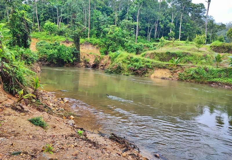 (16.2 Acres) Kuala Perting Bentong Pahang