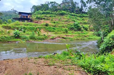 (16.2 Acres) Kuala Perting Bentong Pahang