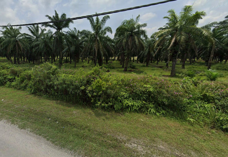 (5 Acres) Kampung Raja Musa Kuala Selangor