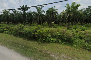 (5 Acres) Kampung Raja Musa Kuala Selangor