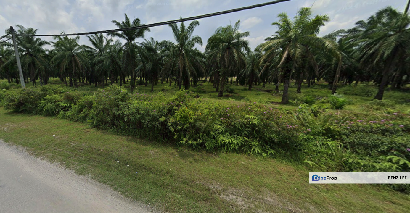 (5 Acres) Kampung Raja Musa Kuala Selangor, Selangor, Kuala Selangor