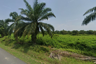 (5 Acres) Jeram Kuala Selangor Kampung Sungai Sembilang Jalan Maharajalela
