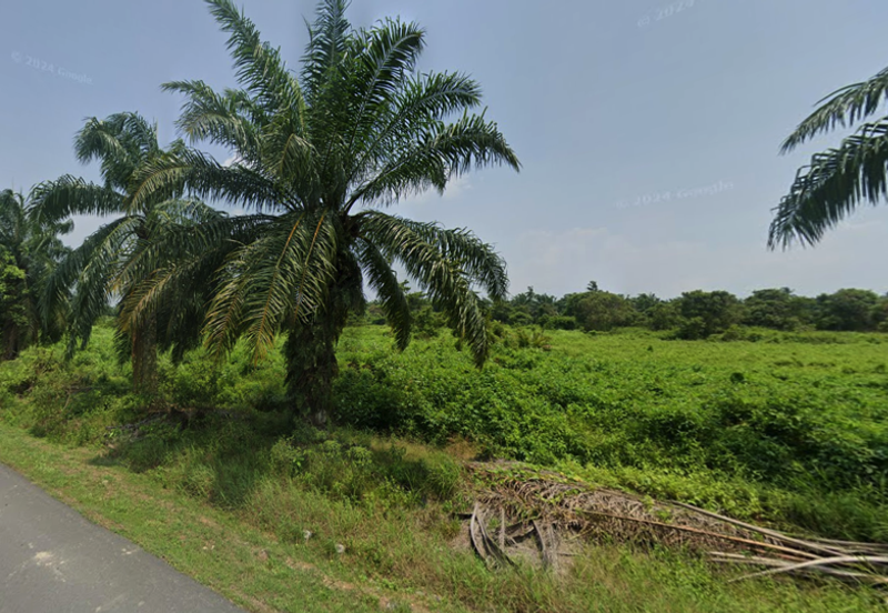 (5 Acres) Jeram Kuala Selangor Kampung Sungai Sembilang Jalan Maharajalela