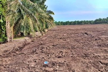 (5 Acres) Kampung Raja Musa Kuala Selangor