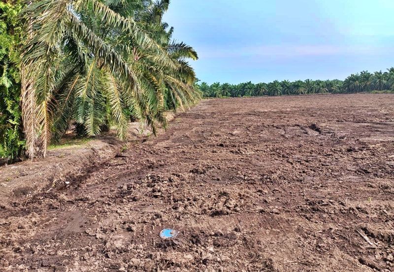 (5 Acres) Kampung Raja Musa Kuala Selangor