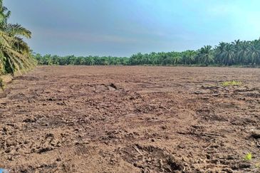 (5 Acres) Kampung Raja Musa Kuala Selangor