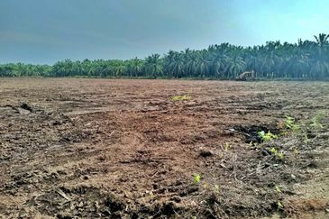 (5 Acres) Kampung Raja Musa Kuala Selangor