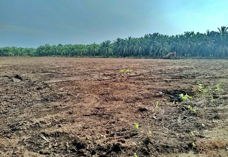 (5 Acres) Kampung Raja Musa Kuala Selangor