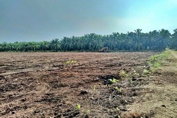 (5 Acres) Kampung Raja Musa Kuala Selangor