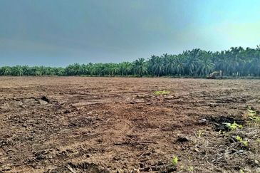 (5 Acres) Kampung Raja Musa Kuala Selangor