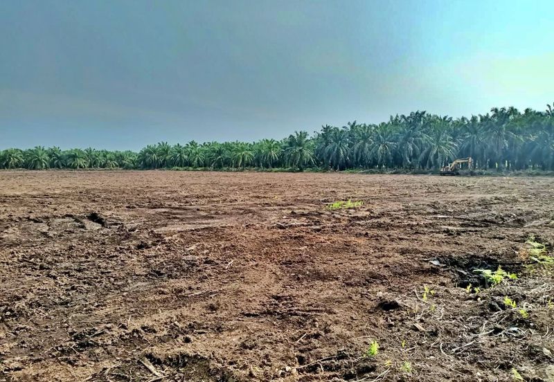 (5 Acres) Kampung Raja Musa Kuala Selangor