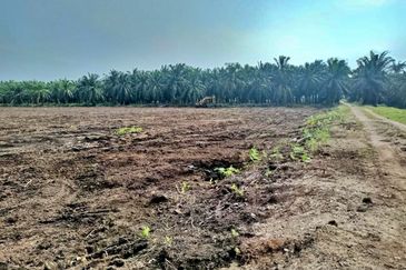 (5 Acres) Kampung Raja Musa Kuala Selangor