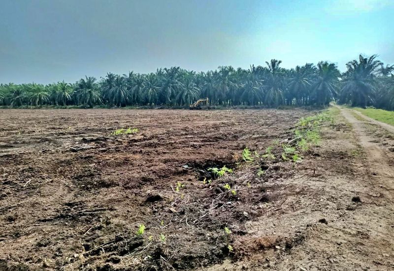 (5 Acres) Kampung Raja Musa Kuala Selangor