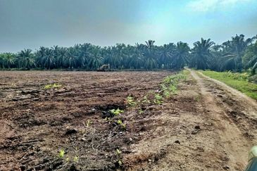 (5 Acres) Kampung Raja Musa Kuala Selangor