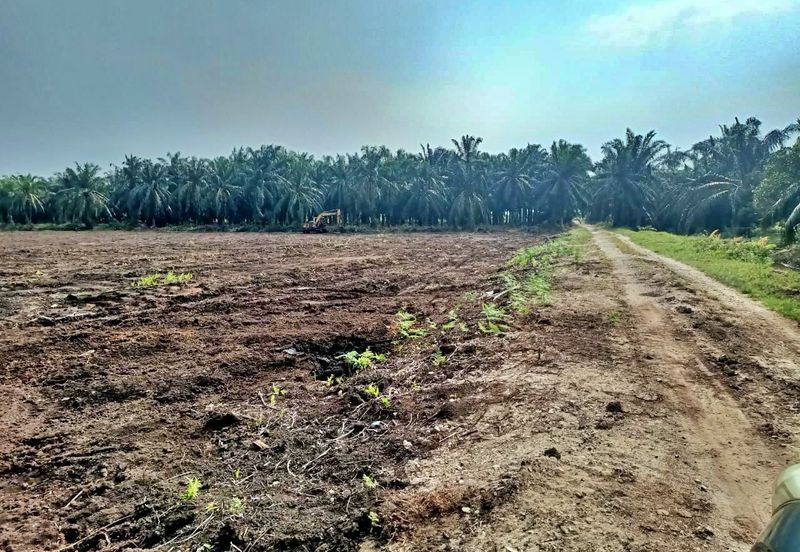 (5 Acres) Kampung Raja Musa Kuala Selangor