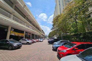 Platinum Mondrian (Pv128)