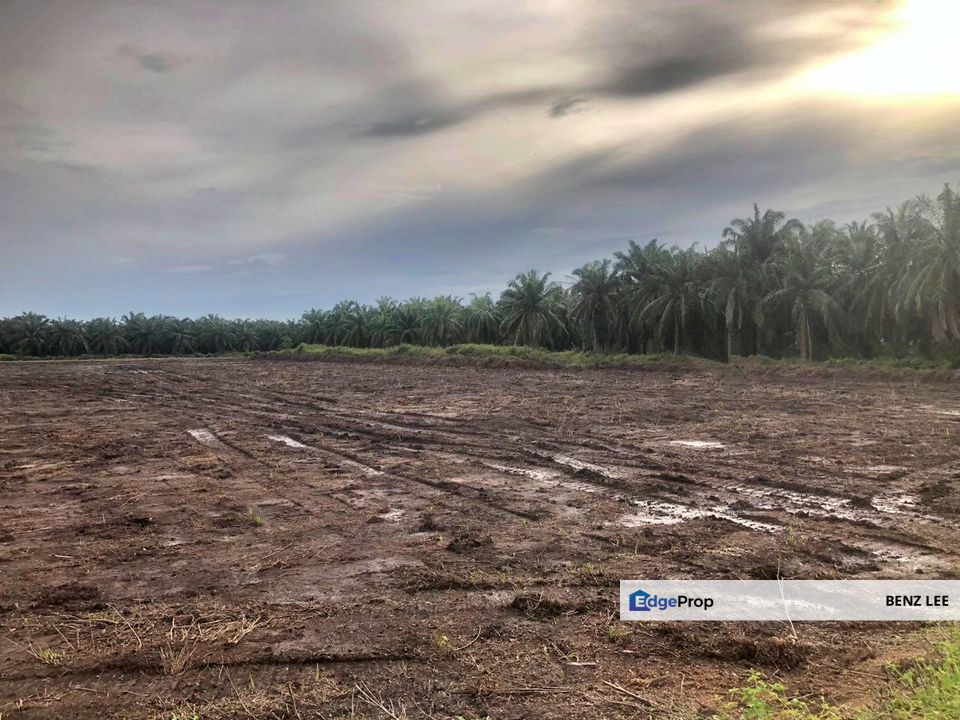 (5 Acres) Kampung Raja Musa Kuala Selangor, Selangor, Kuala Selangor