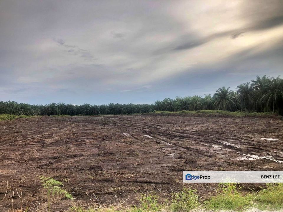 (5 Acres) Kampung Raja Musa Kuala Selangor, Selangor, Kuala Selangor