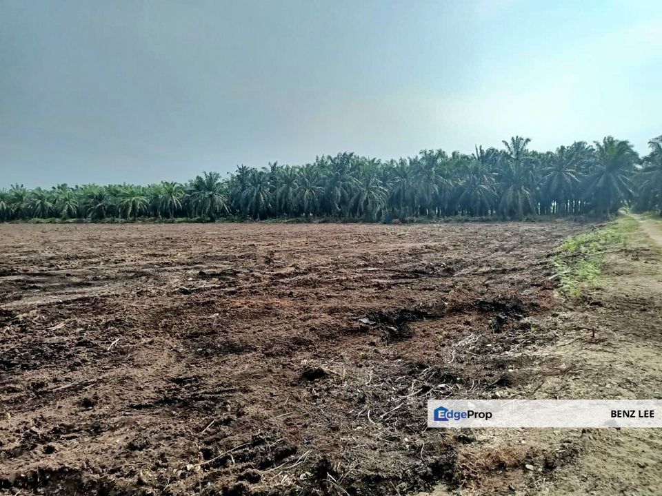 (5 Acres) Kampung Raja Musa Kuala Selangor, Selangor, Kuala Selangor