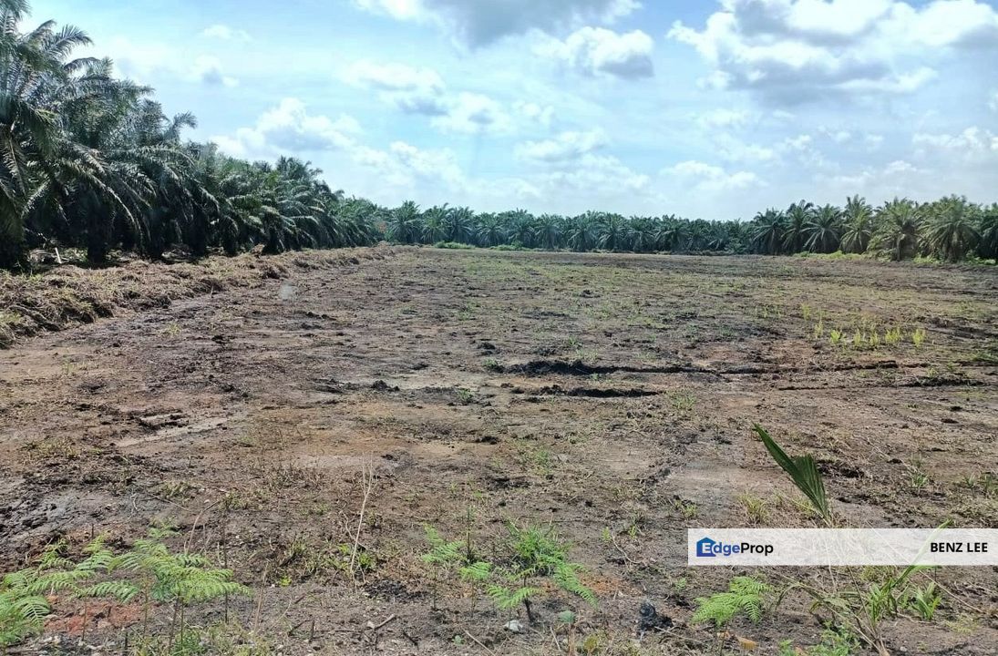 (5 Acres) Kampung Raja Musa Kuala Selangor, Selangor, Kuala Selangor