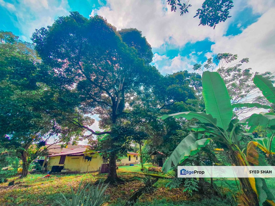 Tanah Durian 1 Ekar dengan Banglo 1 Tingkat Labu Negeri Sembilan 10min ke Aeon Nilai, Negeri Sembilan, Seremban