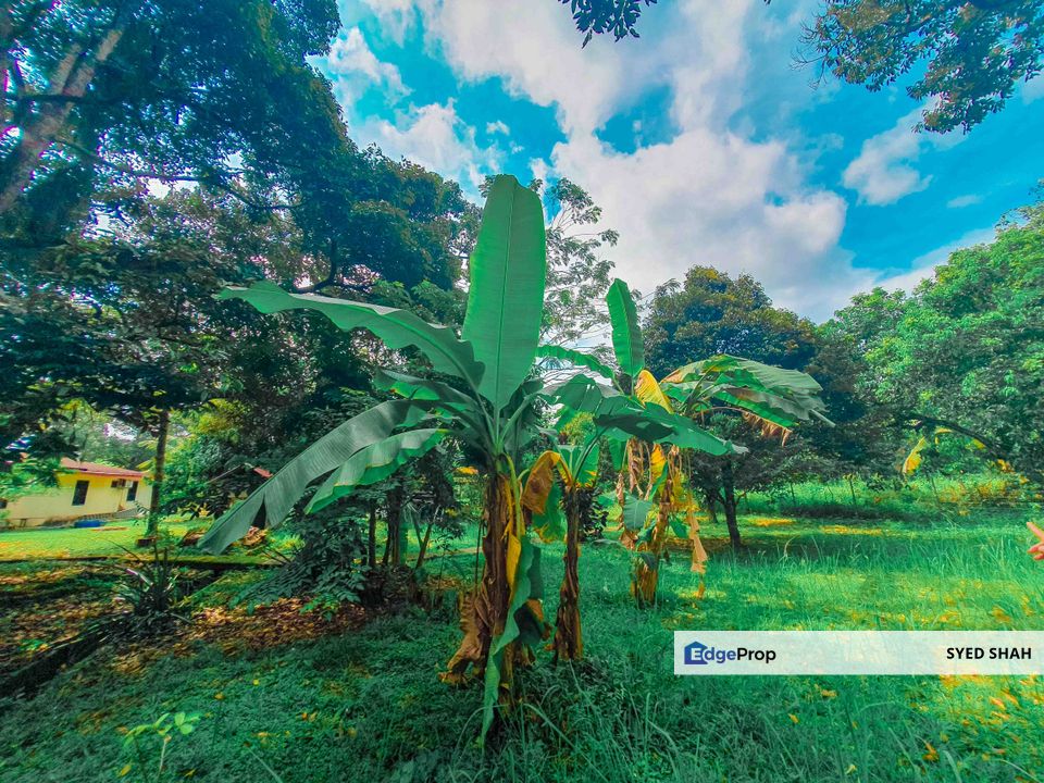 Tanah Durian 1 Ekar dengan Banglo 1 Tingkat Labu Negeri Sembilan 10min ke Aeon Nilai, Negeri Sembilan, Seremban
