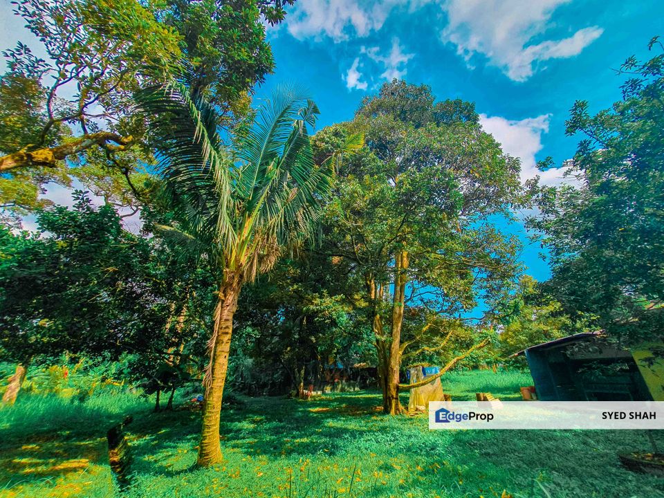 Tanah Durian 1 Ekar dengan Banglo 1 Tingkat Labu Negeri Sembilan 10min ke Aeon Nilai, Negeri Sembilan, Seremban