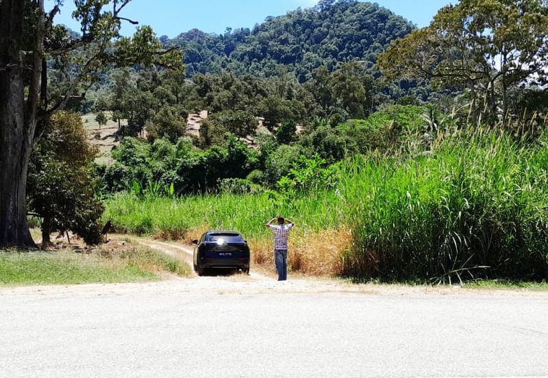 100 acres agricultural land with single title