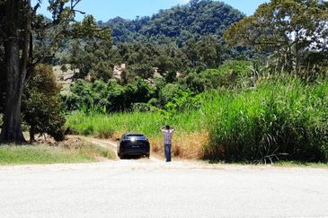 100 acres agricultural land with single title