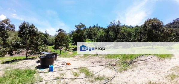 100 acres agricultural land with single title, Pahang, Raub